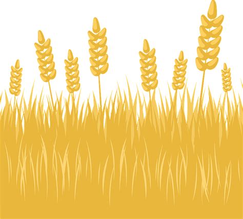 Wheat Field Clipart Free Download Transparent Png Creazilla