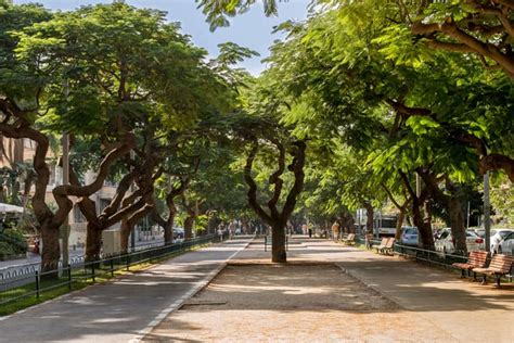 Auch hochhäuser zieren die skyline. Tel Aviv Urlaub: 4 Nächte & Direktflüge ab 412€