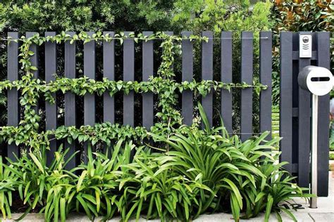 Ide Desain Pagar Taman Minimalis Keren untuk Halaman Rumah Tahun 2021