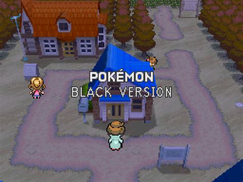 Pokemon Black Version Nintendo Ds 008 The King Of Grabs