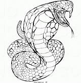 Snake Coloring Pages Cobra King Logo Ninjago Venomous Royalty Rattlesnake Drawing Draw Animals Head Printable Clipart Color Drawings Print Rattle sketch template