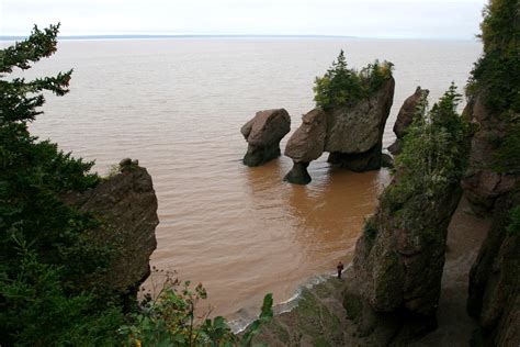 And listen in high tide and in low tide, i'll be by your side Interesting Facts About the Bay of Fundy That are Simply ...