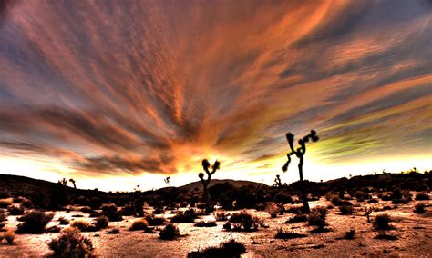 Desert Sunset Hdr Photograph By Timothy Jankowski