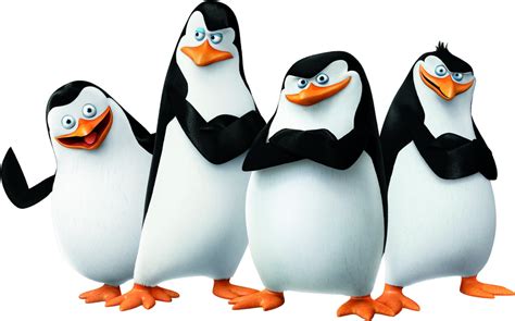 King Penguin Png Image Hd Png All Png All