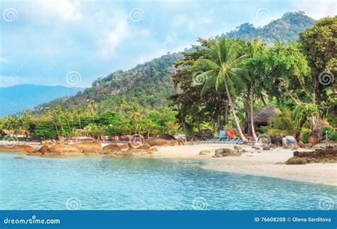 Asian Tropical Beach Paradise In Thailand Stock Photo Image Of Palm