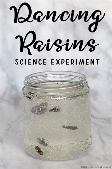 Dancing Raisins Science Experiment Simple Living Creative Learning