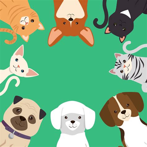 McDowell Mountain Animal Hospital - Home