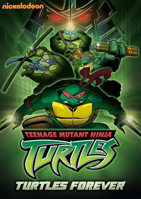 Teenage Mutant Ninja Turtles Turtles Forever Michael