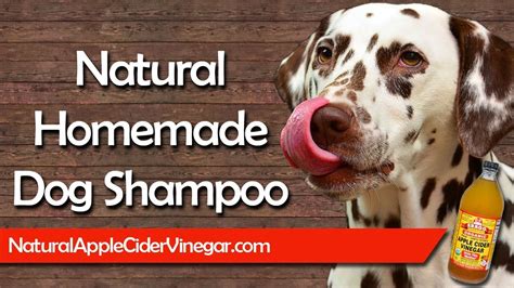 Homemade Natural Dog Shampoo Recipe For Itchy And Dry Skin Youtube