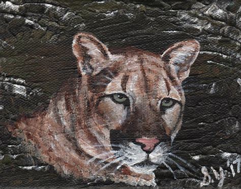 Cougar Painting By Stephanie Yates Fine Art America