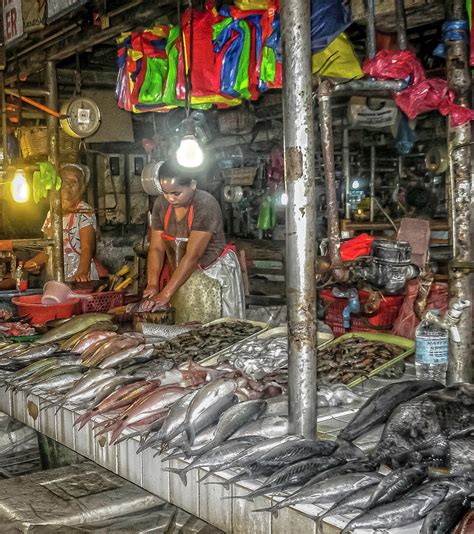 Life In The Philippines The Fish Market Photograph By Ron Christie