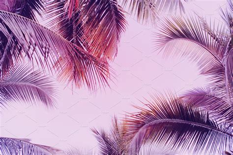 Tropical Vibes Background By Abstract Vanilla On Creativemarket