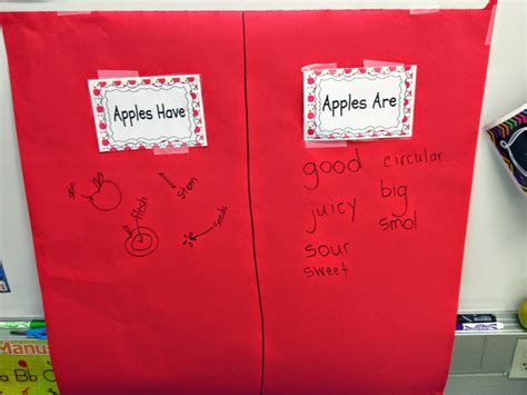 Numbers And Apples Mrs Mcginnis Little Zizzers