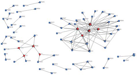 Network Diagram Of 75 Nodes Who Had At Least 1 Relationship Tie With
