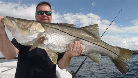 Monster Snook Fishing The Mad Snooker Charter Fishing