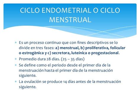 Ciclos Reproductivos De La Mujer Ciclo Menstrual Unt J Vásquez Ru