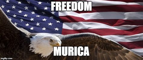 Freedom In Murica Memes And S Imgflip