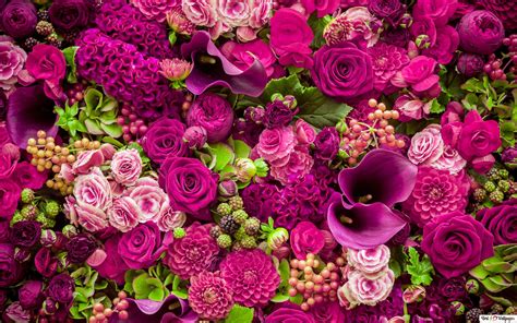 Descargar Fondo De Pantalla Hermosa Flores De Color Rosa Montón Hd
