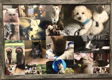 Briarlake Animal Hospital