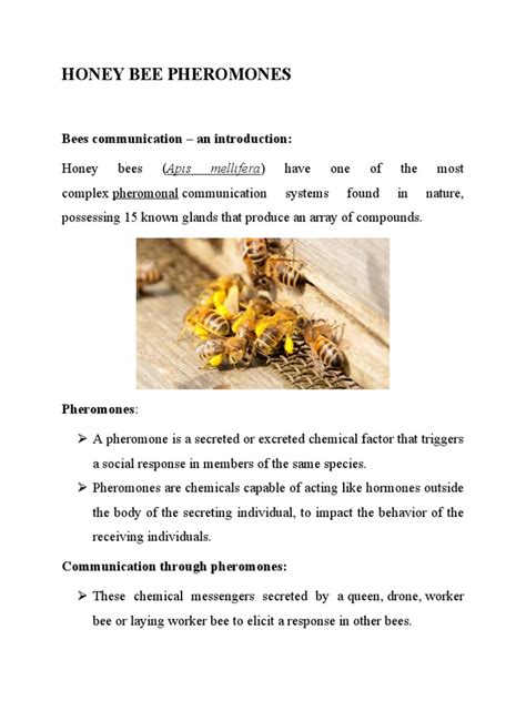 Honey Bee Pheremones Pdf Honey Bee Pheromone