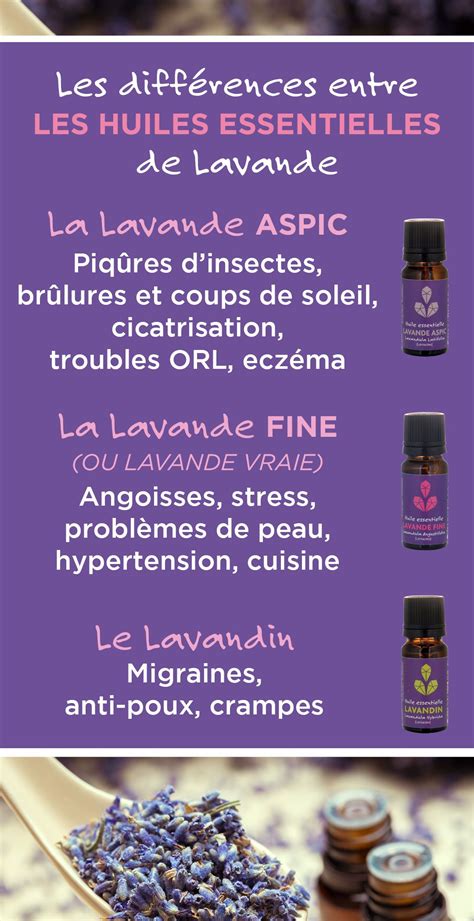 La différence entre les huiles essentielles de lavande  Huile