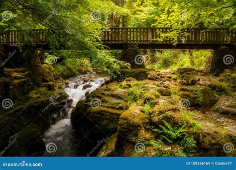 Tollymore Forest Natural Park Northern Ireland Waterfall Long Exposure