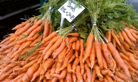 Farmers Market Fresh Carrots Free Stock Photo Public Domain Pictures
