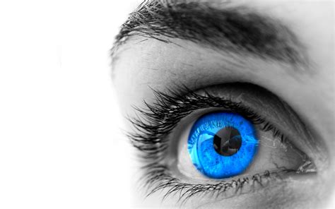 Eye Image Beautifu Blue Colored Eye Image Hd 3487