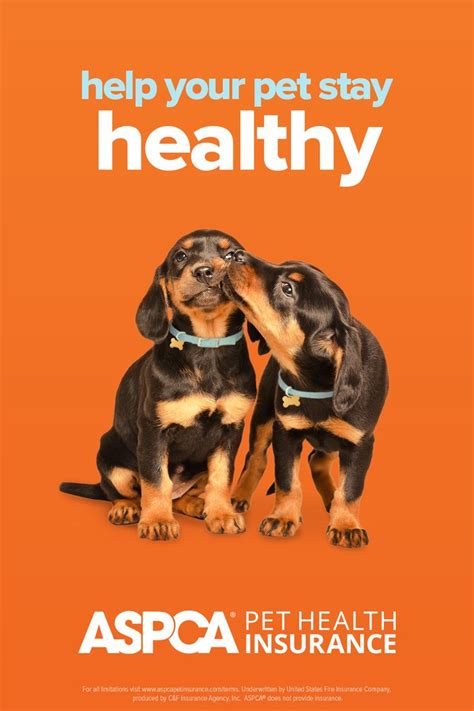 We review its plans, cost, reviews, competition, and more. Pet Insurance Coverage | ASPCA Pet Health Insurance in 2021 | Pet health insurance, Pet health, Pets