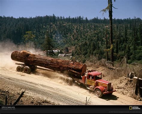 Logging In The Redwoods Trucks Big Rig Trucks Custom Big Rigs