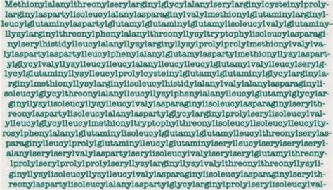 What Is The Longest Word In English Tomasexashley