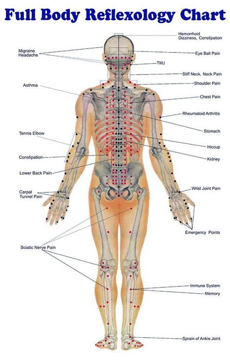 Reflexology Massage Techniques Lots Of Charts The Whoot Akupressur Reflexzonen Massage Tips