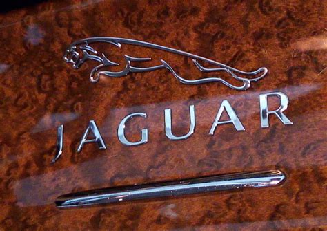 Jaguar Chrome Car Metal Decalemblem 60mm Xkemk2xk120xj8xk8f Pace