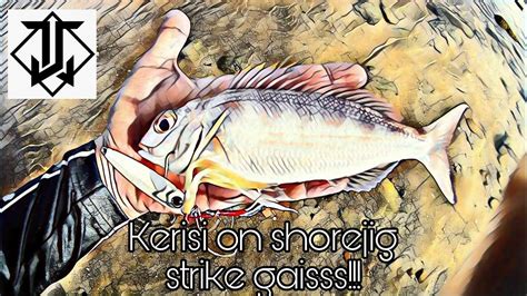 If you're not one for too much spice, simply reduce the amount of red chili in your spice. #NemipterusJaponicus|Ikan kerisi on shorejig fishing ...