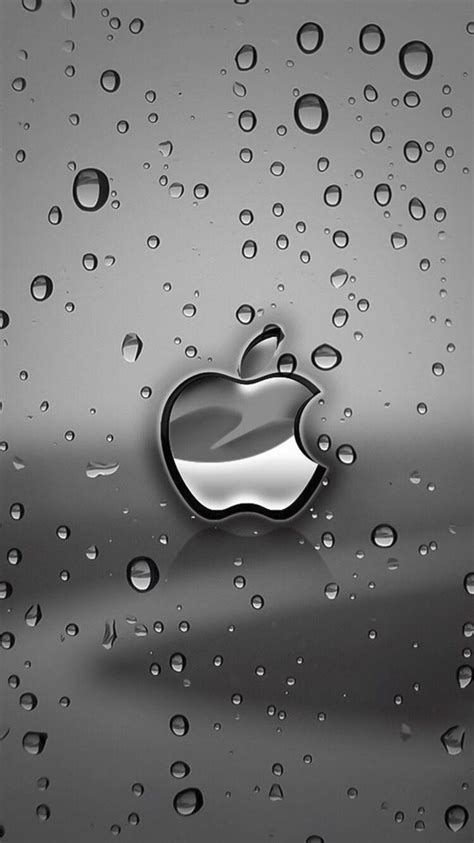 Apple Wallpapers Iphone Wallpaper Cave