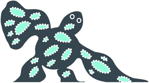 Empowering Traditional Owners to protect the Reef - Great Barrier Reef