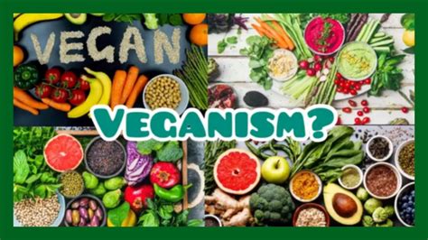 Veganism 163 Youtube