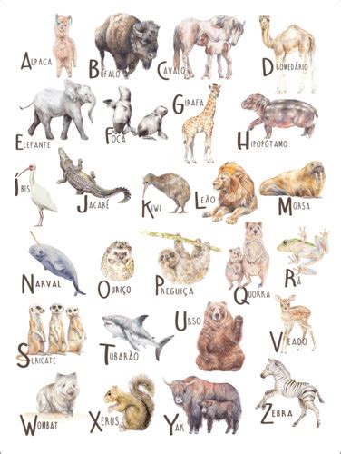 Animal Alphabet Portuguese Print By Wandering Laur Posterlounge