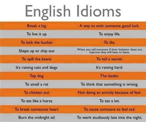 25 Most Common English Idioms And Phrases Word Coach Ph