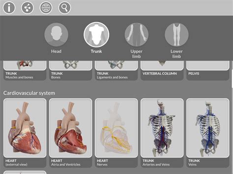 Anatomy 3d Atlas For Android Apk Download