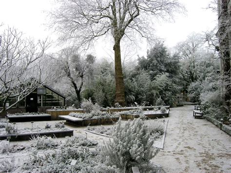 11 Beautiful Botanical Gardens In Winter Condé Nast Traveler