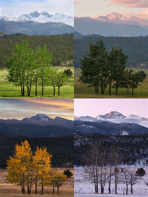 Four Seasons Rocky Mountain National Park Photograph By Aaron Spong