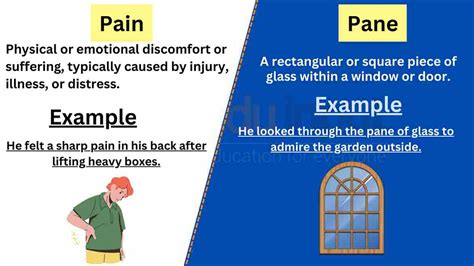Pain Vs Pane Difference Between And Example