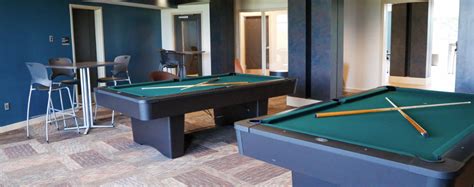 Recreational Room With Two Pool Tables