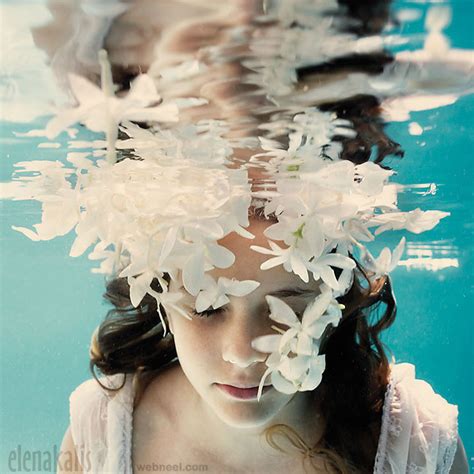 Underwater Photography By Elena Kalis 12
