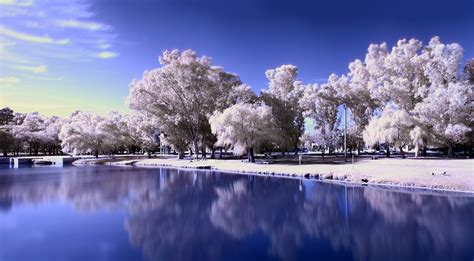 1920x1200 Island Trees Frost Lake Frozen Cleanliness Surface