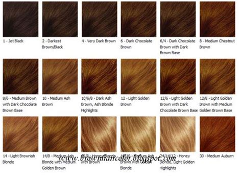 Chestnut Brown Hair Color Chart