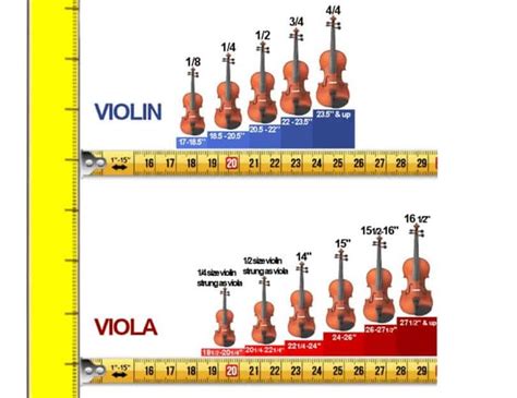 Violin Sizes And Measurements Are Shown In This Graphic