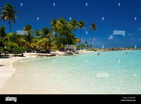 Guadeloupe Caribbean French Antilles Sainte Anne Beach Beach Paradise
