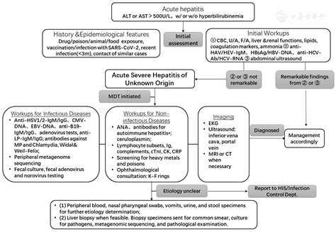 Diagnosis And Clinical Management Of Acute Severe Hepatitis Of Unknown